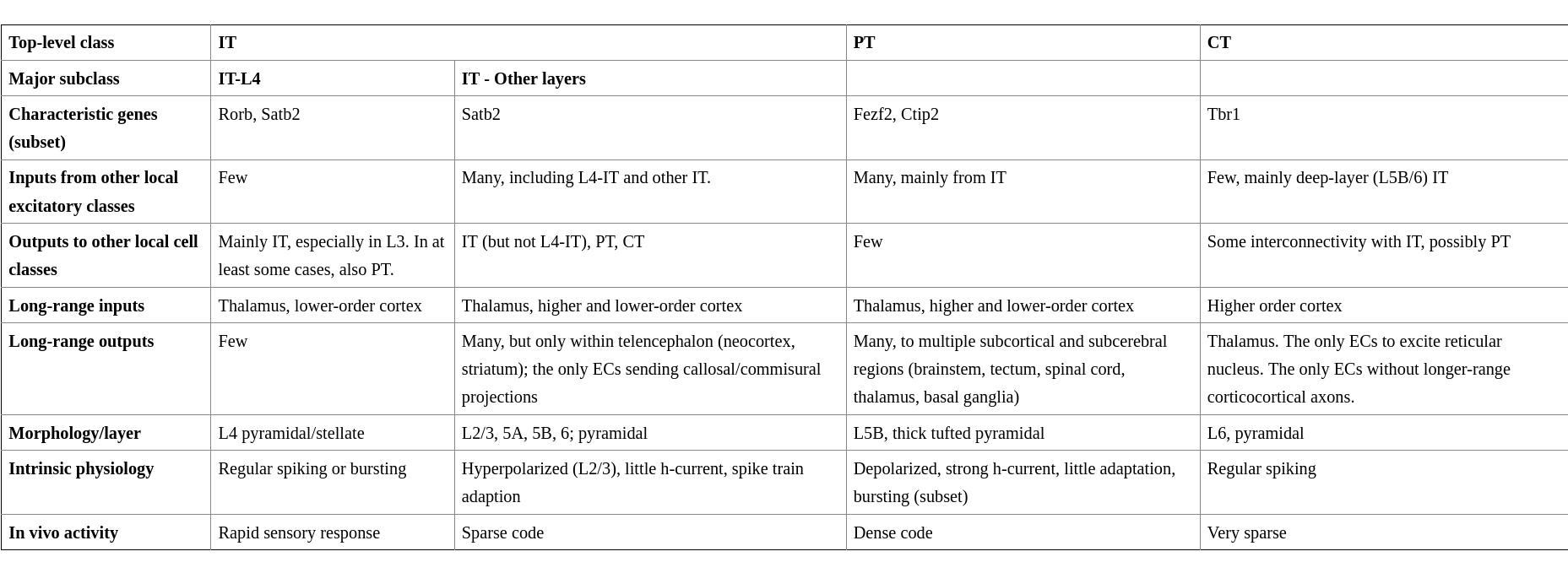 Table with overview of excitatoryclasses